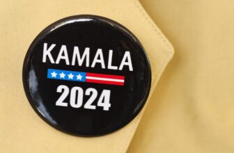 A Small Military of Overpaid TikTokers Is Not Going to Save the Democratic Get together