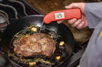 The ThermoWorks Thermapen One is 30 % off proper now