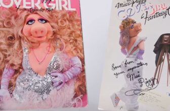 The Jim Henson Firm Is Auctioning Off Traditional Puppets and Extra for the First Time Ever