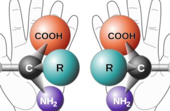 Scientists Collect to Confront the Doomsday Dangers of ‘Mirror Life’
