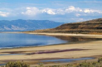 Because the Nice Salt Lake Shrinks, One thing Sudden Is Rising to the Floor