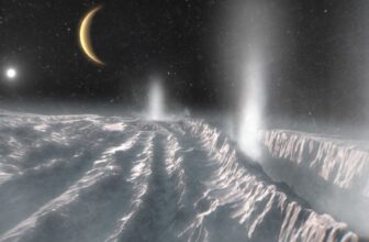 New Life-Giving Molecules Present in 17-12 months-Outdated Information From Saturn’s Moon Enceladus