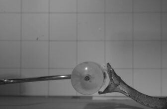 This Is What a Venomous Snake Chew Seems Like at 1,000 Frames per Second