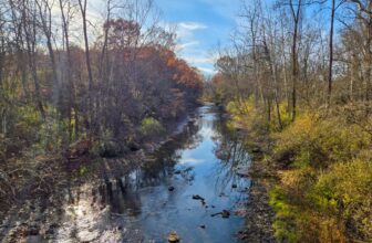 The Little Issues Publication #497 – Life, laughter, and plenty of nice meals!