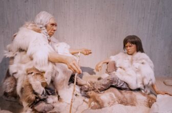 New Proof Suggests Neanderthals Cannibalized Outsider Ladies and Kids