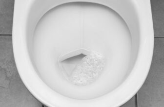 Norovirus Is Again With a Vengeance